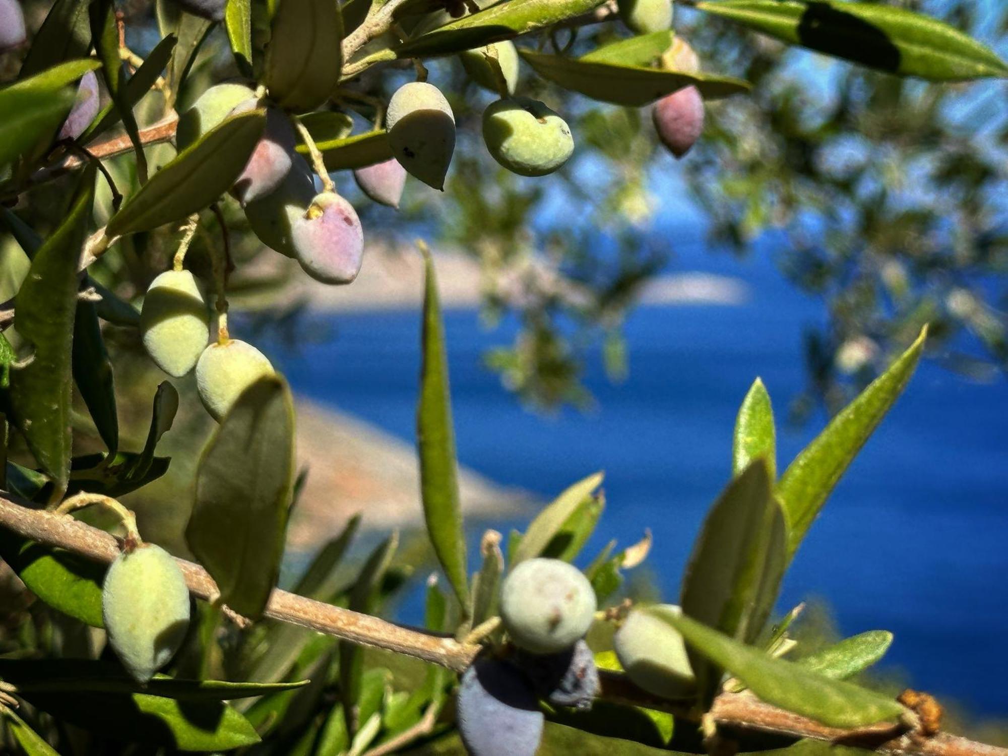 Maison Meltem Agia Pelagia Exterior foto